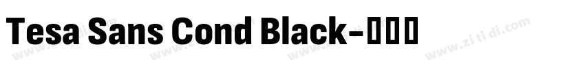 Tesa Sans Cond Black字体转换 Tesa Sans Cond Black字体转换